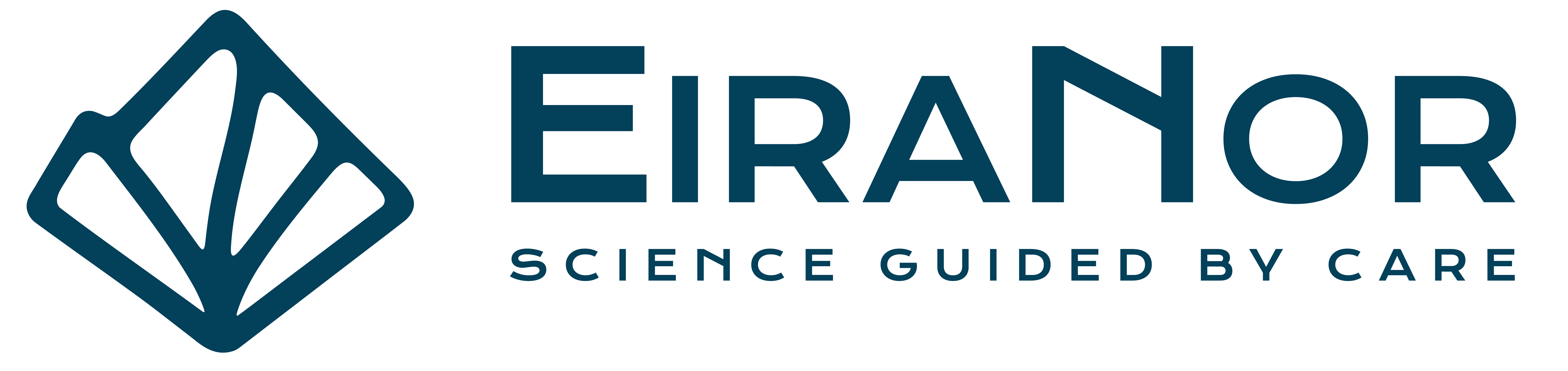 EiraNor_LogoLockUp_MidnightOcean