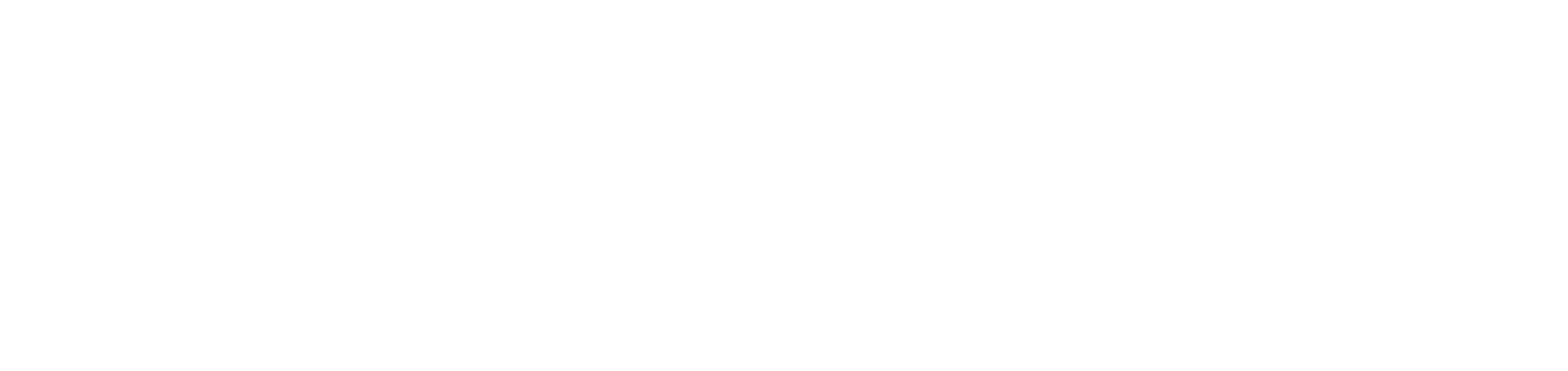 EiraNor_Logo_White